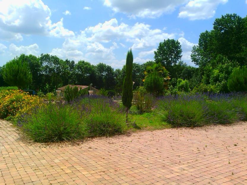 Chateau Sainte Marie Hotel Dompierre-sur-Charente Luaran gambar