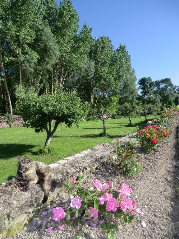 Chateau Sainte Marie Hotel Dompierre-sur-Charente Luaran gambar